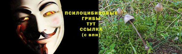 2c-b Алексин