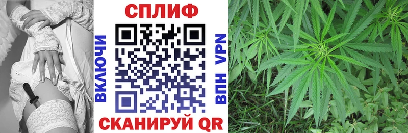 Марихуана гибрид  Карабулак 